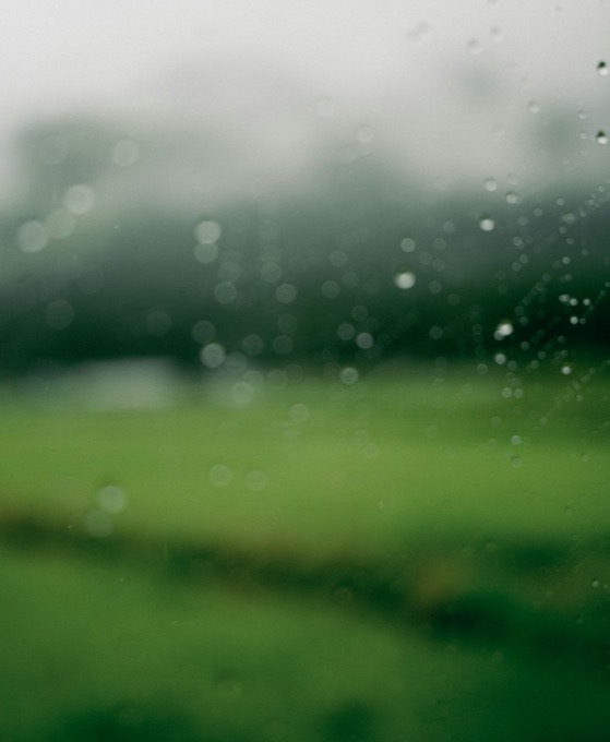 雨粒のついた窓の向こうに、霧がかった緑